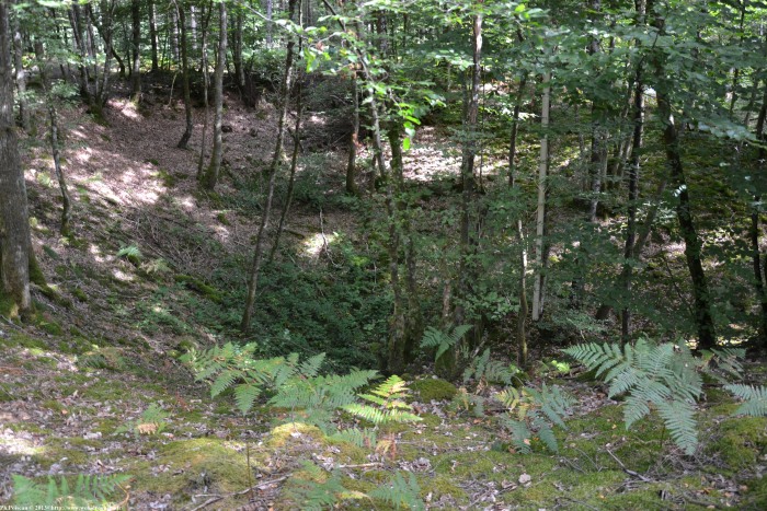 Les Mardelles de Prémery Nièvre Passion