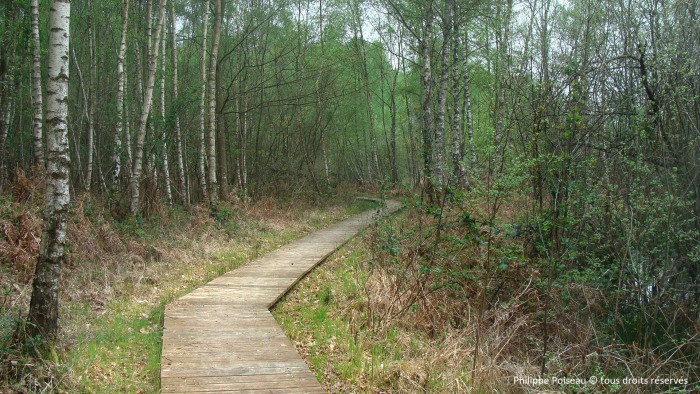 Les Mardelles de Prémery Nièvre Passion