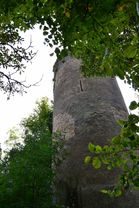 Château de Champlemy