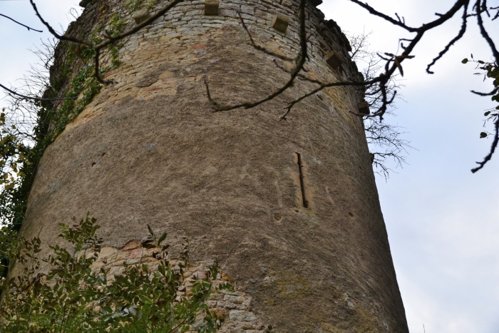 Château de Champlemy