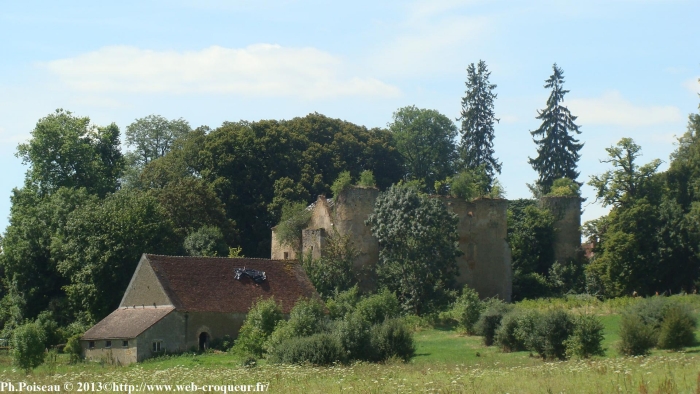 Château de Champlemy