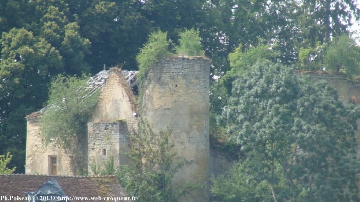 Château de Champlemy