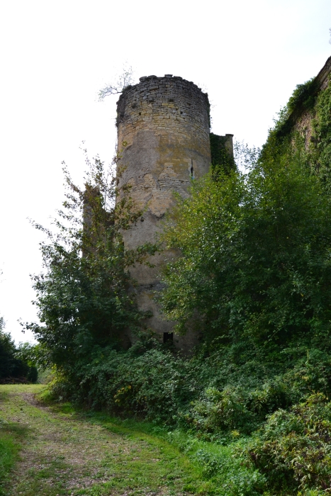 Château de Champlemy