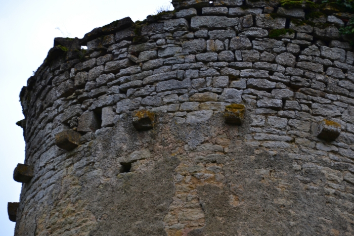 Château de Champlemy