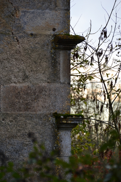 Château de Champlemy