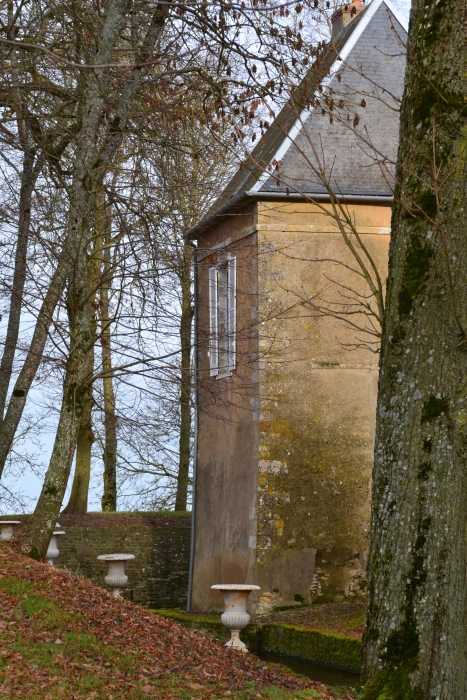 Château de Saint Pierre du Mont