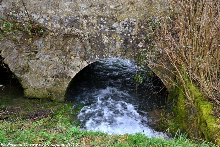 Château de Villiers Menestreau Nièvre Passion