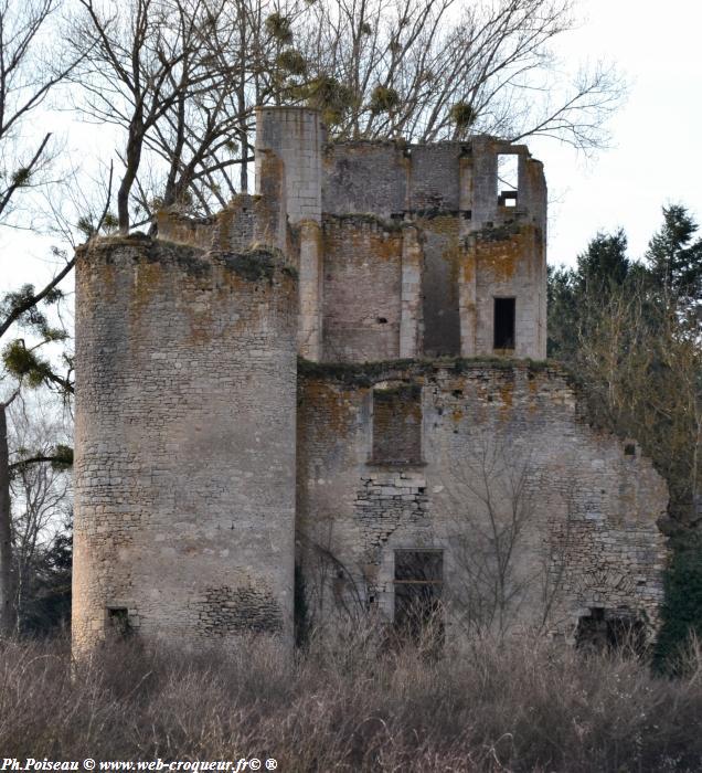 chateau passy les tours