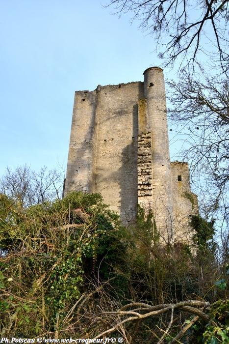 chateau passy les tours