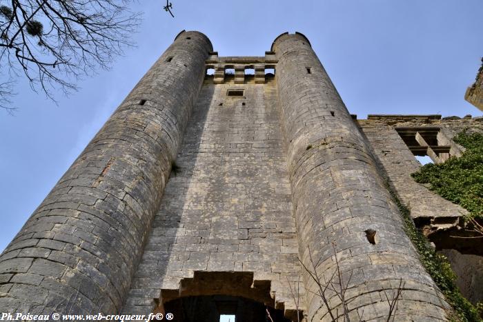 chateau passy les tours