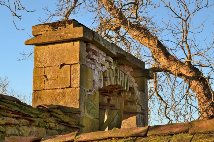 Vestiges de l’église Saint-Martin