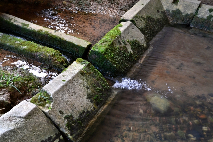 lavoir de Lichy