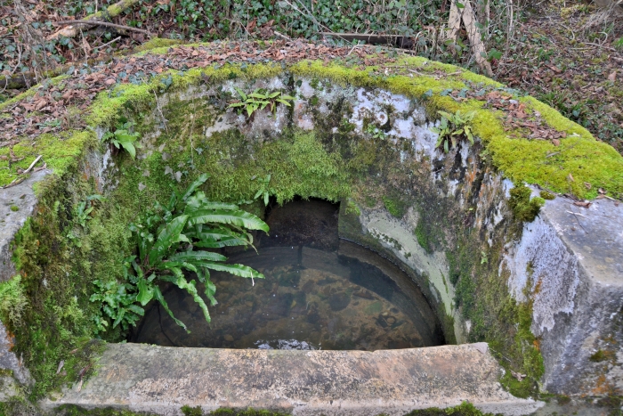 Le Grand lavoir de Lichy