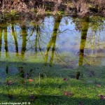 Mardelles de Prémery un remarquable patrimoine naturel