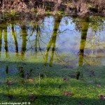 Les Mardelles de Prémery