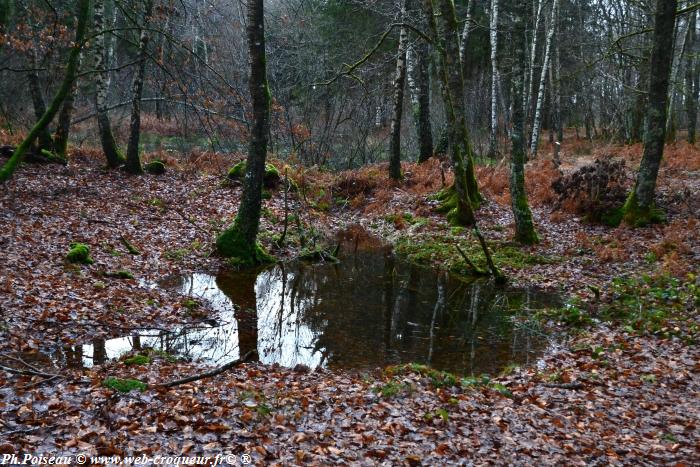 Mardelles de Prémery