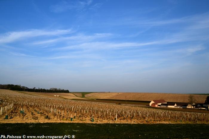 Château Du Nozet Nièvre Passion