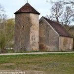 Le Colombier de Courcelles Nièvre Passion