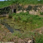 Lavoir de Viemont un patrimoine vernaculaire