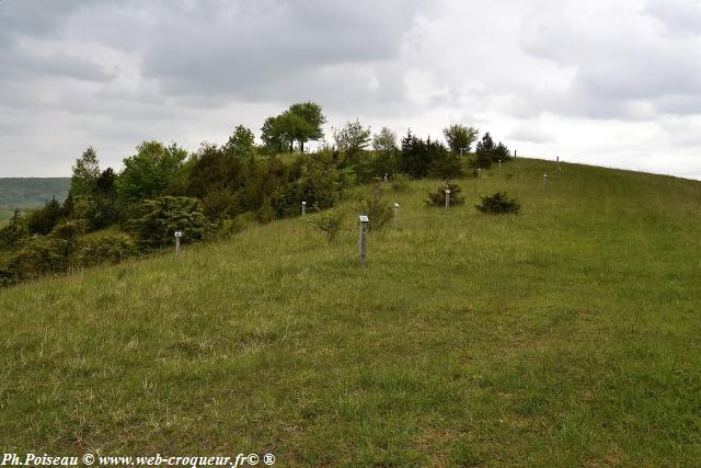 La Butte Aux Orchidées