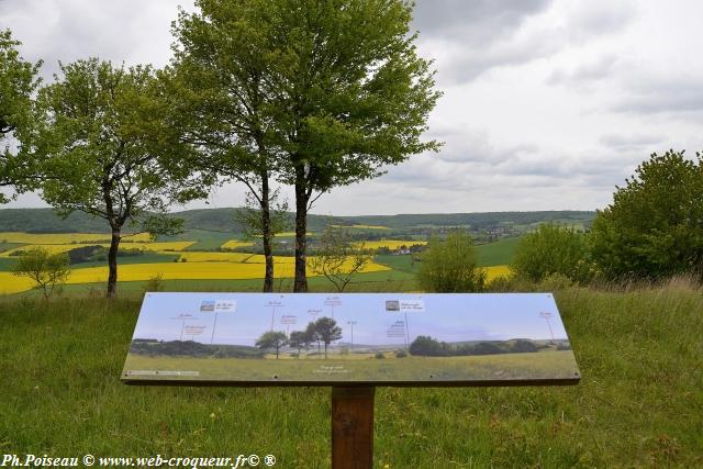 La Butte Aux Orchidées Nièvre Passion