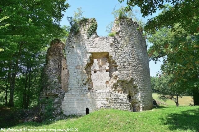 Château de Saint Vérain