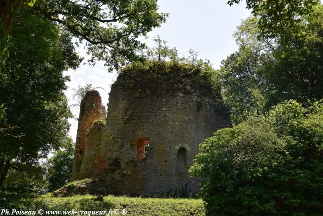 Château de Saint Vérain