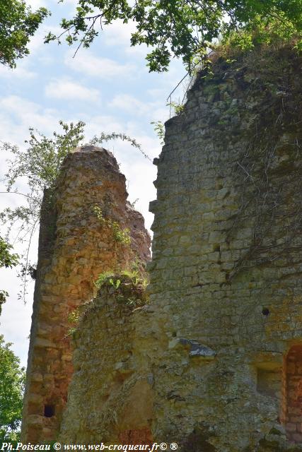 Château de Saint Vérain