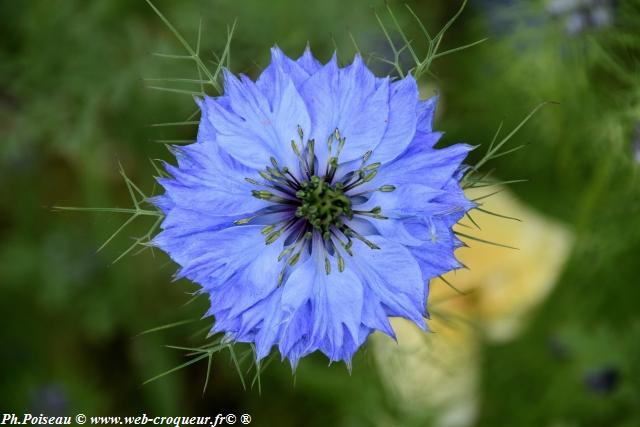 Château de Corbelin les Jardins Nièvre Passion