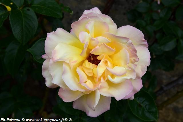 Château de Corbelin les Jardins Nièvre Passion