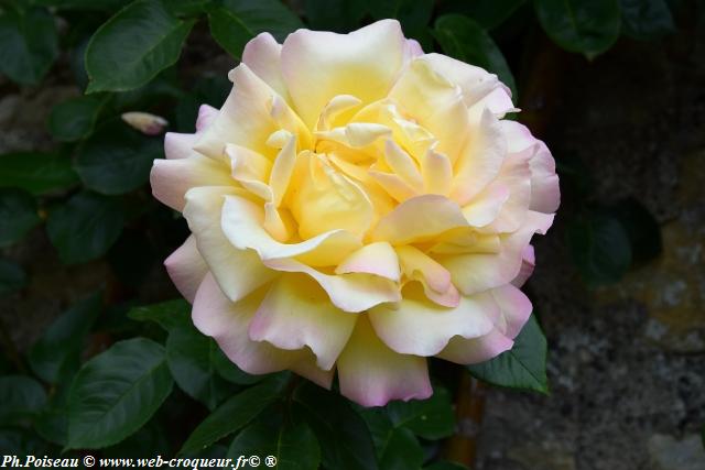 Château de Corbelin les Jardins Nièvre Passion