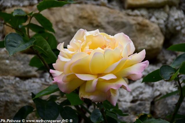 Château de Corbelin les Jardins Nièvre Passion