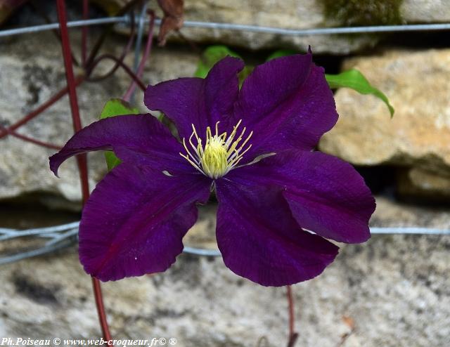 Château de Corbelin les Jardins Nièvre Passion