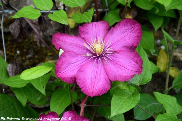 Château de Corbelin les Jardins Nièvre Passion