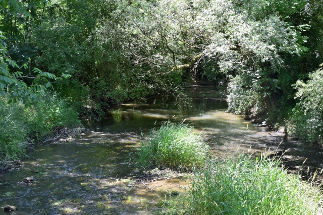 Gué et passerelle de Pourcelanges
