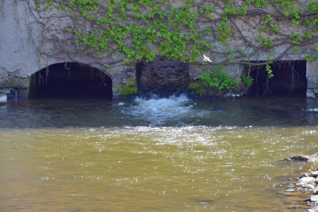 Moulin de Chassy