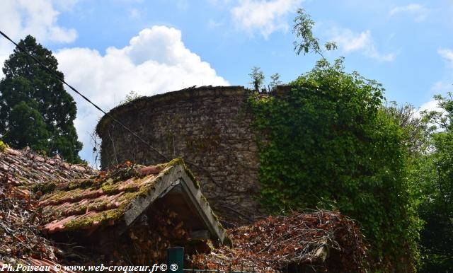 Château de Saint Benin d'Azy