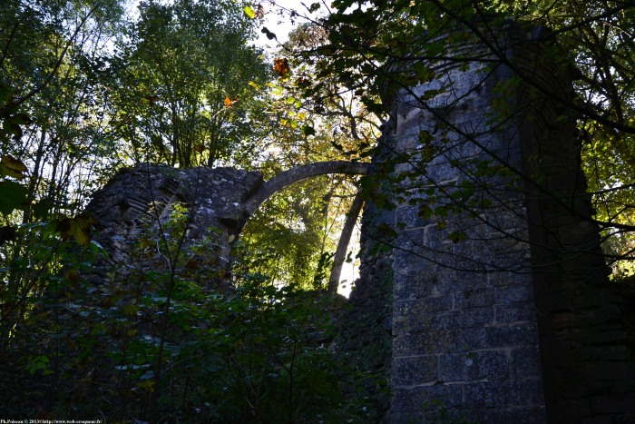 Château de Montenoison Nièvre Passion