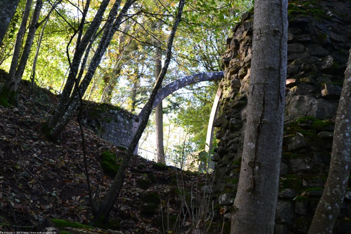 Château de Montenoison Nièvre Passion