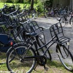 Canal du Nivernais à bicyclette