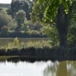 Étang de la Fermeté un beau plan d’eau de la Fermeté