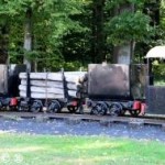 Parc de La Machine – Le « Bois des Sœurs » un beau patrimoine