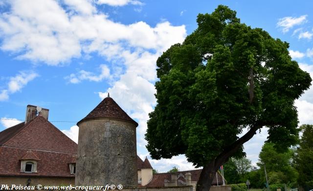 Colombier de Surgy Nièvre Passion