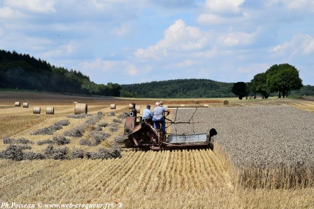 Comice agricole de Prèmery Nièvre Passion