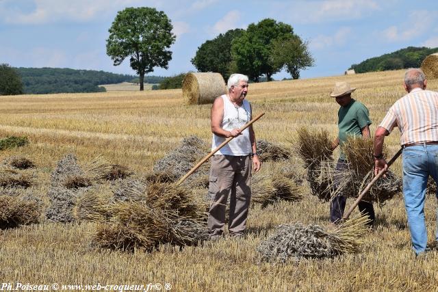 Comice agricole de Prèmery Nièvre Passion