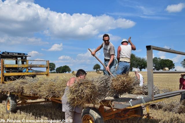 Comice agricole de Prèmery Nièvre Passion