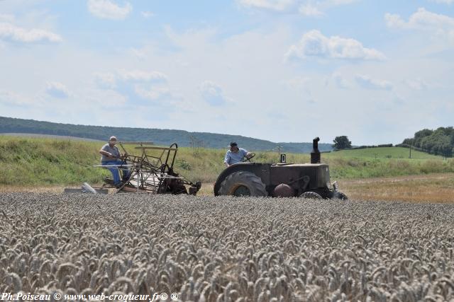 Comice agricole de Prèmery Nièvre Passion