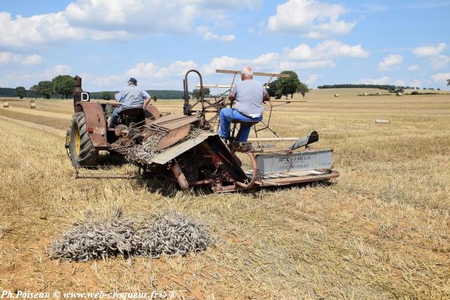 Comice agricole de Prèmery Nièvre Passion