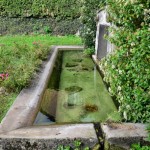 Lavoir de la source de Tazière un patrimoine