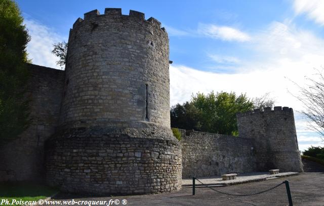 Château de Decize